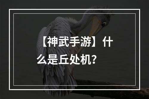 【神武手游】什么是丘处机？