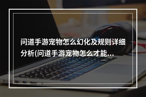 问道手游宠物怎么幻化及规则详细分析(问道手游宠物怎么才能幻化 宠物幻化条件介绍)