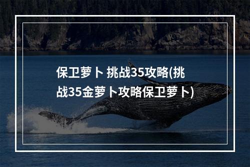 保卫萝卜 挑战35攻略(挑战35金萝卜攻略保卫萝卜)