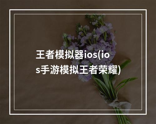 王者模拟器ios(ios手游模拟王者荣耀)