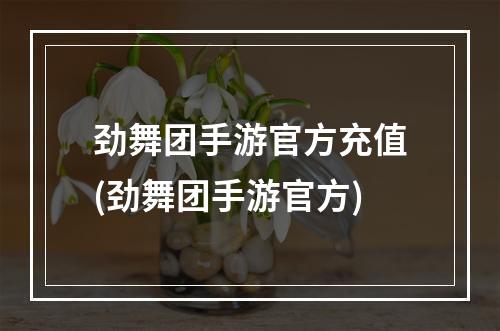 劲舞团手游官方充值(劲舞团手游官方)