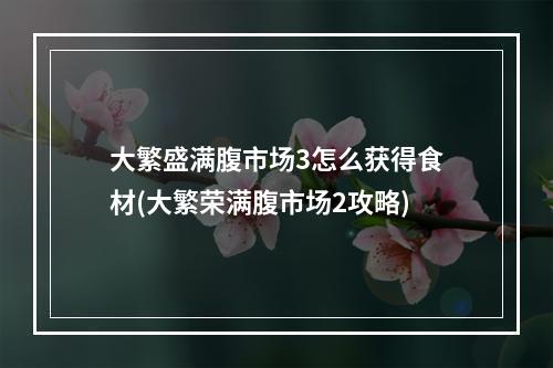 大繁盛满腹市场3怎么获得食材(大繁荣满腹市场2攻略)