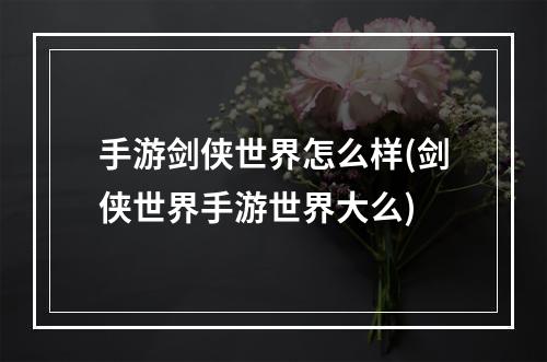 手游剑侠世界怎么样(剑侠世界手游世界大么)