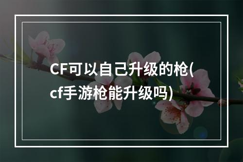 CF可以自己升级的枪(cf手游枪能升级吗)