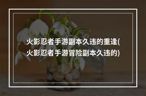 火影忍者手游副本久违的重逢(火影忍者手游冒险副本久违的)