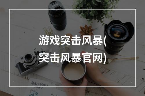 游戏突击风暴(突击风暴官网)