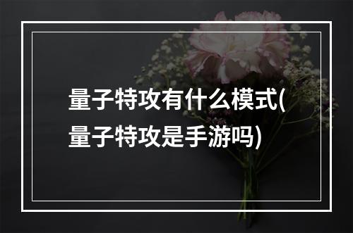 量子特攻有什么模式(量子特攻是手游吗)