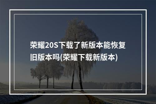 荣耀20S下载了新版本能恢复旧版本吗(荣耀下载新版本)