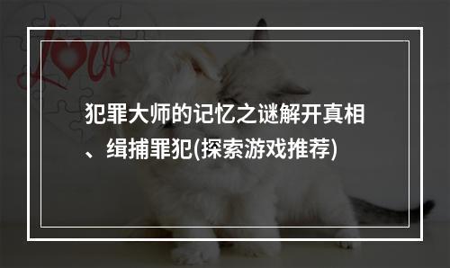 犯罪大师的记忆之谜解开真相、缉捕罪犯(探索游戏推荐)