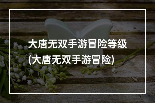 大唐无双手游冒险等级(大唐无双手游冒险)