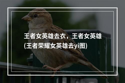 王者女英雄去衣，王者女英雄(王者荣耀女英雄去yi图)