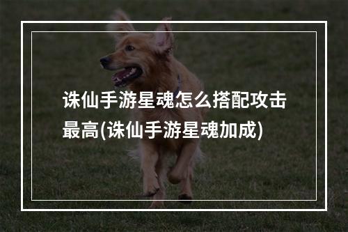 诛仙手游星魂怎么搭配攻击最高(诛仙手游星魂加成)