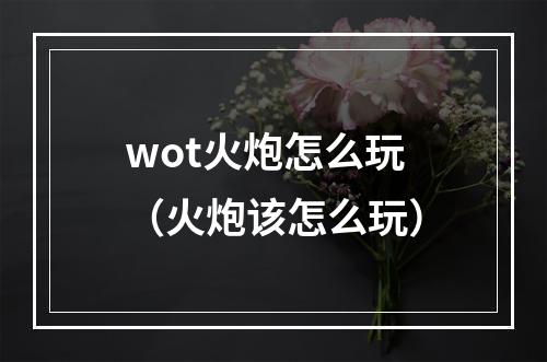 wot火炮怎么玩（火炮该怎么玩）