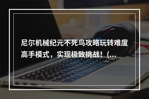 尼尔机械纪元不死鸟攻略玩转难度高手模式，实现极致挑战！(无敌模式大揭秘)