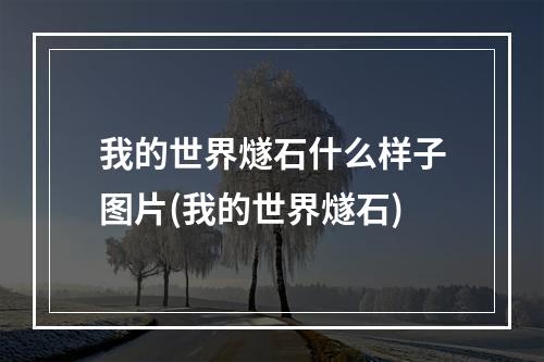 我的世界燧石什么样子图片(我的世界燧石)