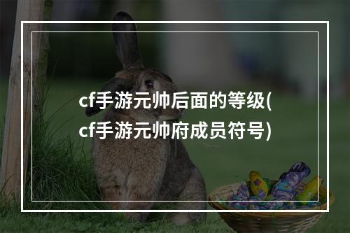 cf手游元帅后面的等级(cf手游元帅府成员符号)