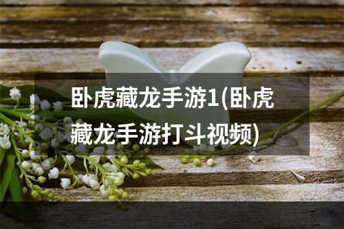 卧虎藏龙手游1(卧虎藏龙手游打斗视频)