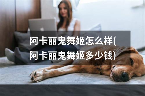 阿卡丽鬼舞姬怎么样(阿卡丽鬼舞姬多少钱)