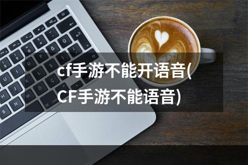 cf手游不能开语音(CF手游不能语音)