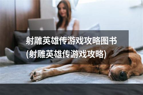 射雕英雄传游戏攻略图书(射雕英雄传游戏攻略)