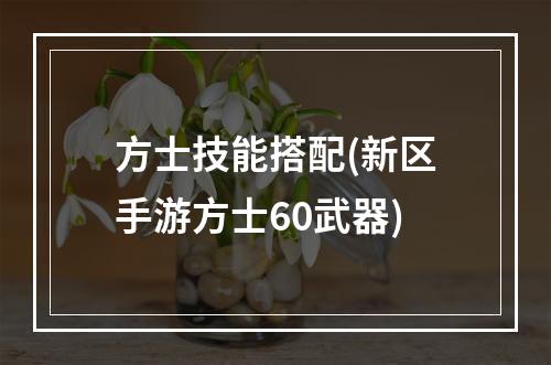 方士技能搭配(新区手游方士60武器)