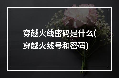 穿越火线密码是什么(穿越火线号和密码)