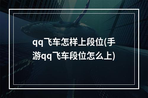 qq飞车怎样上段位(手游qq飞车段位怎么上)