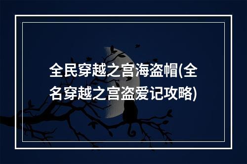 全民穿越之宫海盗帽(全名穿越之宫盗爱记攻略)