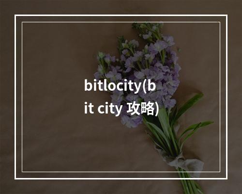 bitlocity(bit city 攻略)