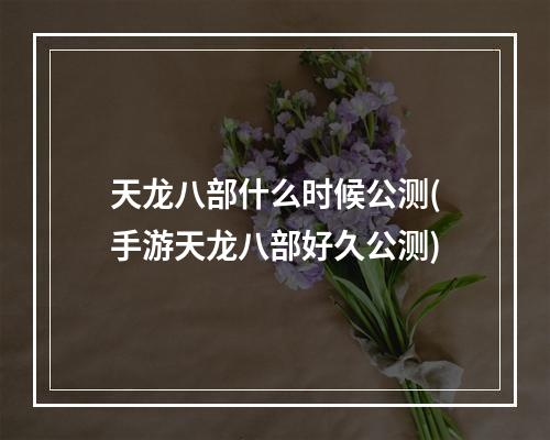 天龙八部什么时候公测(手游天龙八部好久公测)