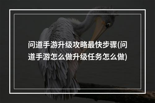 问道手游升级攻略最快步骤(问道手游怎么做升级任务怎么做)