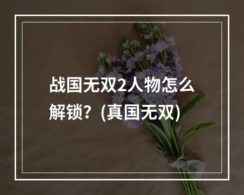 战国无双2人物怎么解锁？(真国无双)