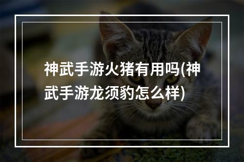 神武手游火猪有用吗(神武手游龙须豹怎么样)