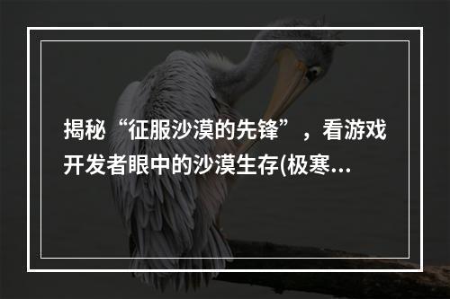 揭秘“征服沙漠的先锋”，看游戏开发者眼中的沙漠生存(极寒沙漠中的冒险，探索“征服沙漠的先锋”游戏背后的故事)