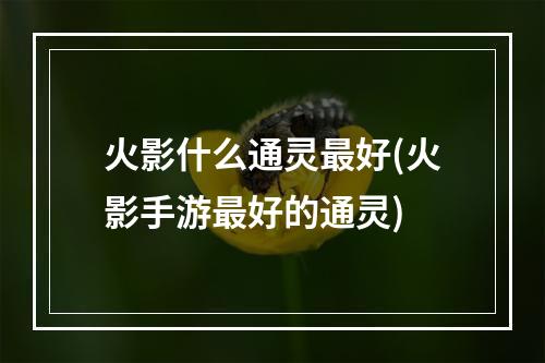 火影什么通灵最好(火影手游最好的通灵)