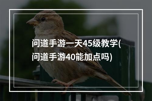 问道手游一天45级教学(问道手游40能加点吗)