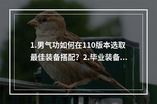 1.男气功如何在110版本选取最佳装备搭配？2.毕业装备推荐dnf男气功110版本全方位攻略