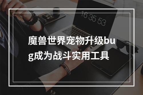 魔兽世界宠物升级bug成为战斗实用工具