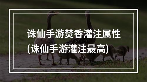 诛仙手游焚香灌注属性(诛仙手游灌注最高)