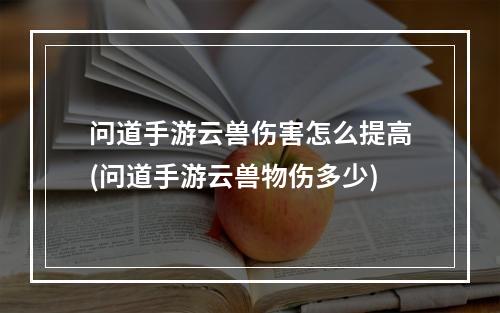 问道手游云兽伤害怎么提高(问道手游云兽物伤多少)