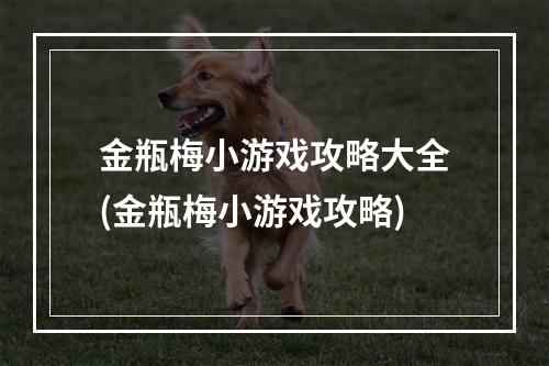 金瓶梅小游戏攻略大全(金瓶梅小游戏攻略)