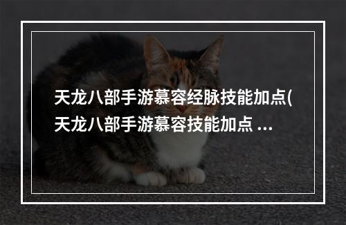 天龙八部手游慕容经脉技能加点(天龙八部手游慕容技能加点 加灵气或体力 天龙八部手游  )