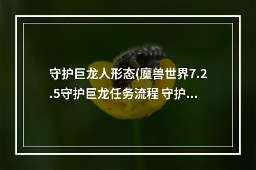 守护巨龙人形态(魔兽世界7.2.5守护巨龙任务流程 守护巨龙任务攻略)