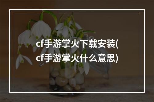 cf手游掌火下载安装(cf手游掌火什么意思)