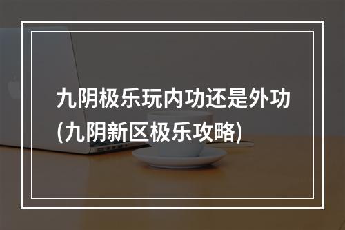 九阴极乐玩内功还是外功(九阴新区极乐攻略)