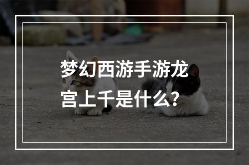 梦幻西游手游龙宫上千是什么？