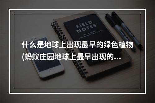 什么是地球上出现最早的绿色植物(蚂蚁庄园地球上最早出现的绿色植物)