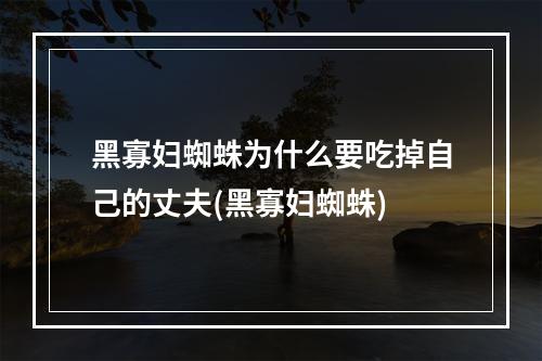 黑寡妇蜘蛛为什么要吃掉自己的丈夫(黑寡妇蜘蛛)