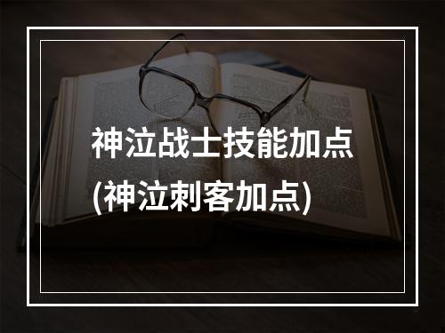 神泣战士技能加点(神泣刺客加点)