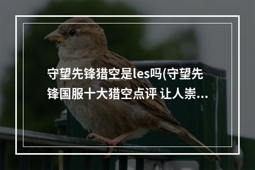 守望先锋猎空是les吗(守望先锋国服十大猎空点评 让人崇拜的小可爱)